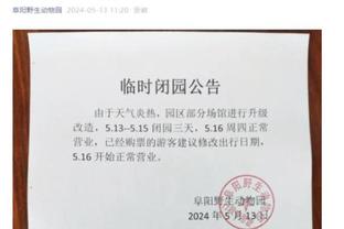 开云网页入口官网截图1